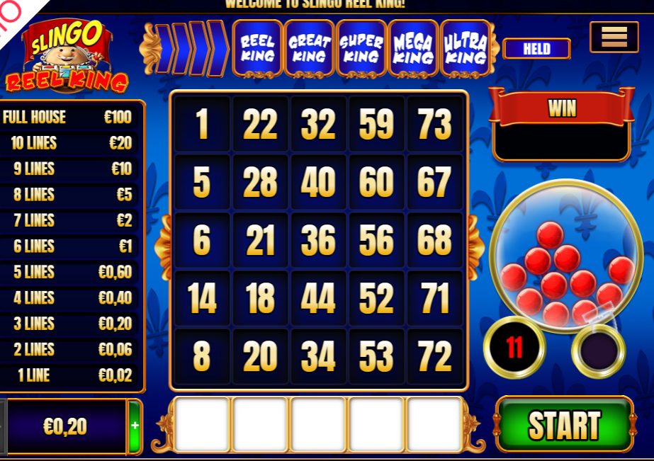 A Comprehensive Guide to Slingo Reel King Slot Game