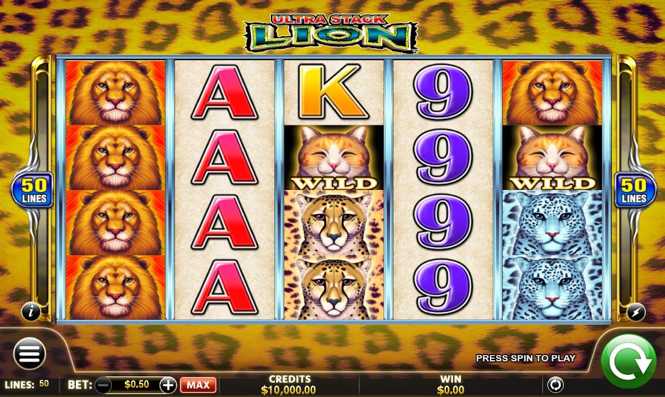 A Top Guide to Ultra Stack Lion: The Best Online Casino Slot Game